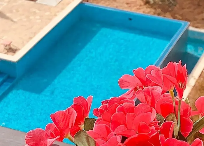 Lägenhet студия авангард *